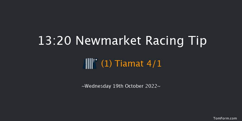 Newmarket 13:20 Stakes (Class 4) 7f Sat 8th Oct 2022