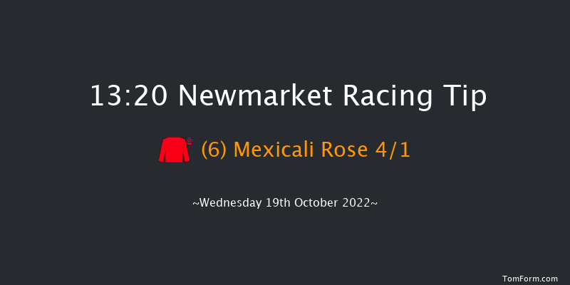 Newmarket 13:20 Stakes (Class 4) 7f Sat 8th Oct 2022