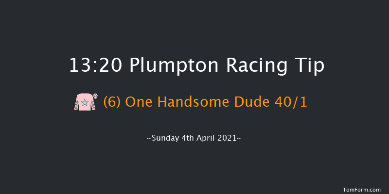 Crystal Services Commercial And Domestic Cleaning Novices' Hurdle (GBB Race) Plumpton 13:20 Maiden Hurdle (Class 3) 20f Mon 22nd Mar 2021