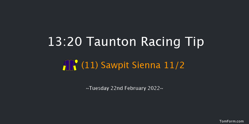 Taunton 13:20 Handicap Hurdle (Class 5) 19f Tue 8th Feb 2022