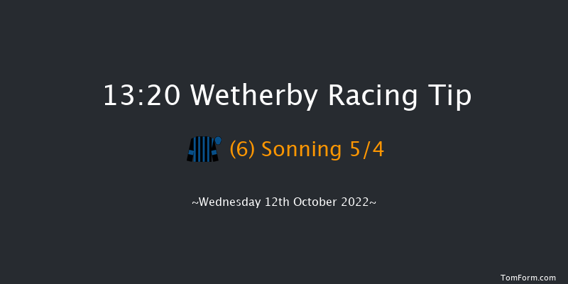 Wetherby 13:20 Handicap Hurdle (Class 3) 16f Tue 7th Jun 2022