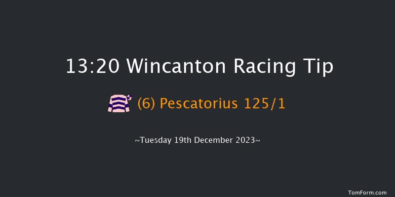 Wincanton 13:20 Maiden Hurdle (Class 4) 20f Tue 12th Dec 2023