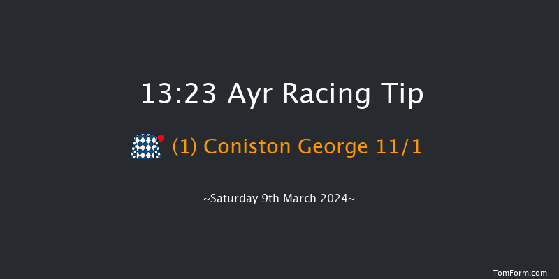 Ayr  13:23 Maiden Hurdle (Class 4)
20f Fri 8th Mar 2024