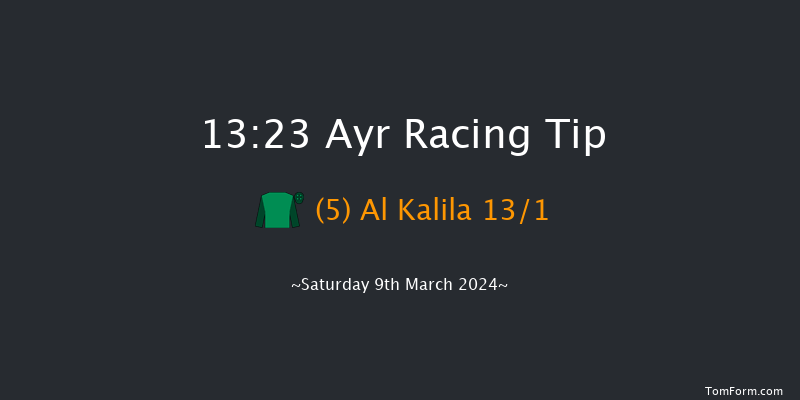 Ayr  13:23 Maiden Hurdle (Class 4)
20f Fri 8th Mar 2024