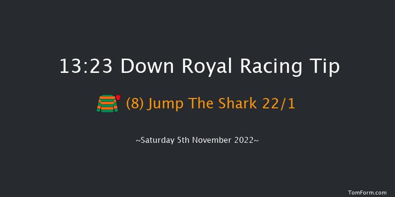 Down Royal 13:23 Maiden Hurdle 17f Fri 4th Nov 2022