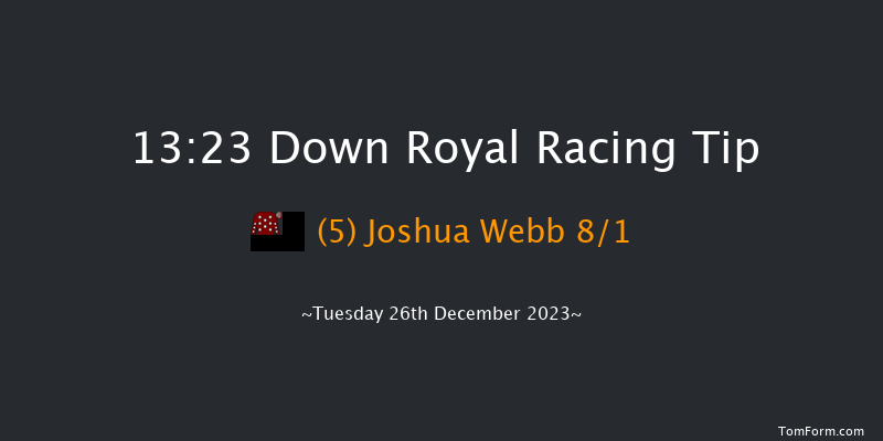 Down Royal 13:23 Maiden Chase 20f Sat 11th Nov 2023