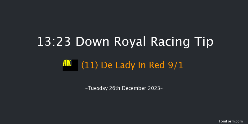 Down Royal 13:23 Maiden Chase 20f Sat 11th Nov 2023