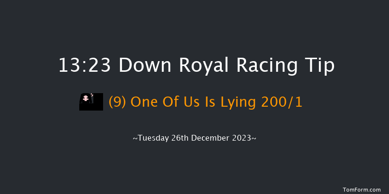 Down Royal 13:23 Maiden Chase 20f Sat 11th Nov 2023