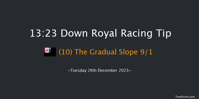 Down Royal 13:23 Maiden Chase 20f Sat 11th Nov 2023