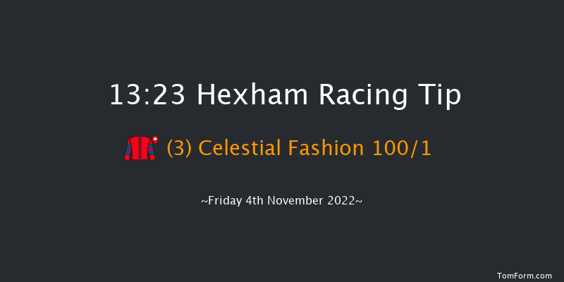 Hexham 13:23 Maiden Hurdle (Class 4) 16f Sat 8th Oct 2022