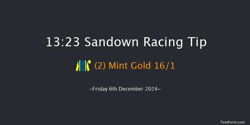 Sandown  13:23 Handicap Chase (Class 3) 15f Sun 10th Nov 2024