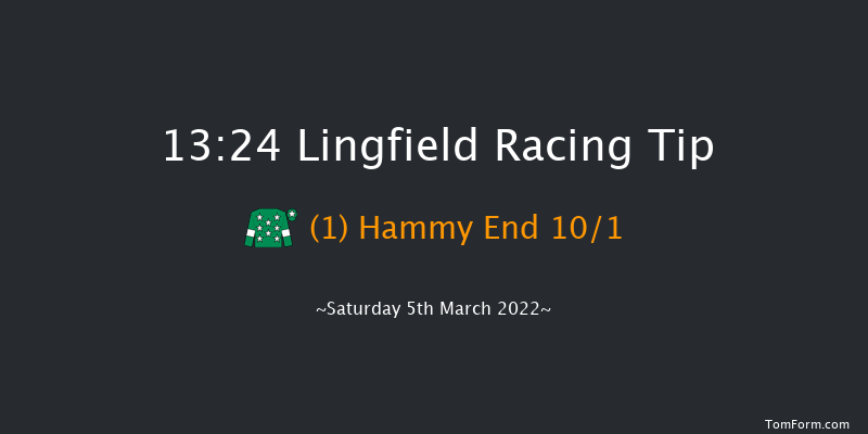 Lingfield 13:24 Handicap (Class 6) 12f Fri 4th Mar 2022