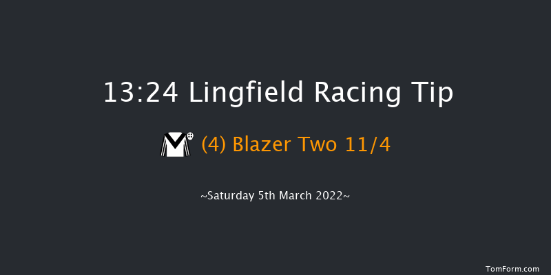 Lingfield 13:24 Handicap (Class 6) 12f Fri 4th Mar 2022