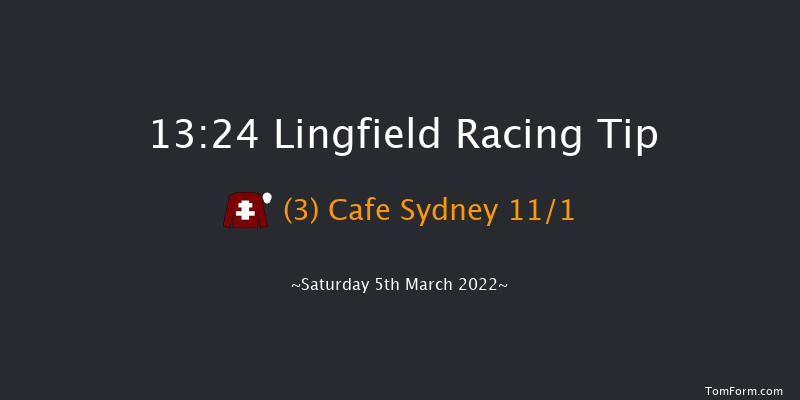 Lingfield 13:24 Handicap (Class 6) 12f Fri 4th Mar 2022