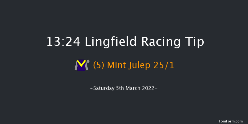 Lingfield 13:24 Handicap (Class 6) 12f Fri 4th Mar 2022