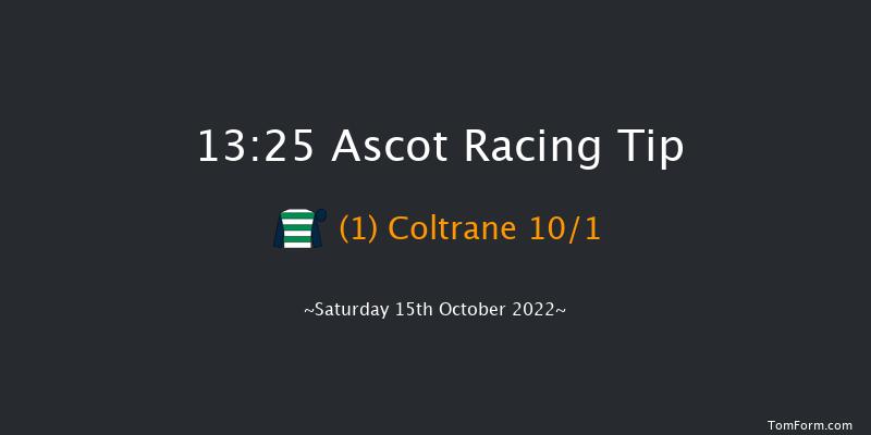 Ascot 13:25 Group 2 (Class 1) 16f Sat 1st Oct 2022