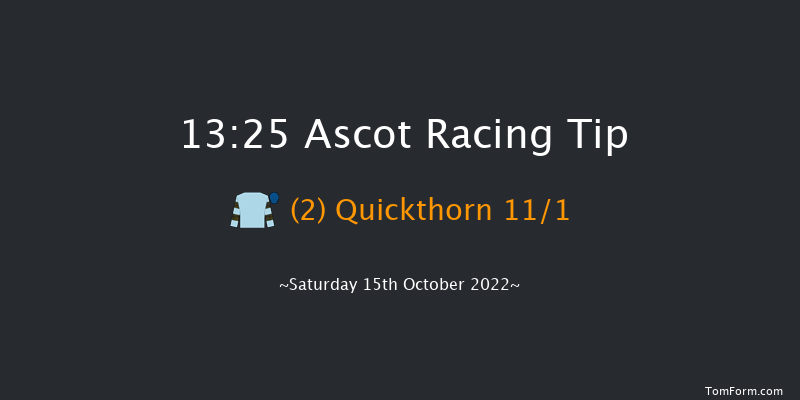 Ascot 13:25 Group 2 (Class 1) 16f Sat 1st Oct 2022