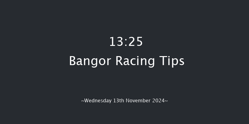 Bangor-on-dee  13:25 Handicap Chase (Class 2) 24f Tue 29th Oct 2024