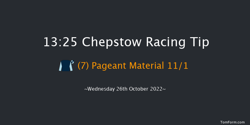 Chepstow 13:25 Handicap Hurdle (Class 4) 20f Tue 25th Oct 2022