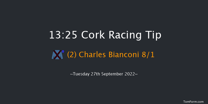 Cork 13:25 Maiden 5f Wed 7th Sep 2022