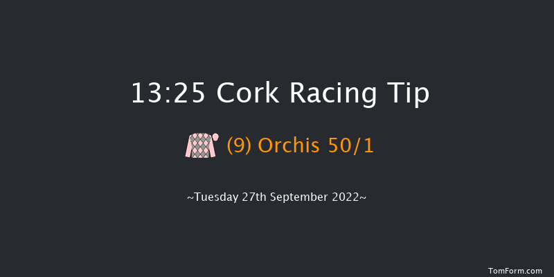 Cork 13:25 Maiden 5f Wed 7th Sep 2022