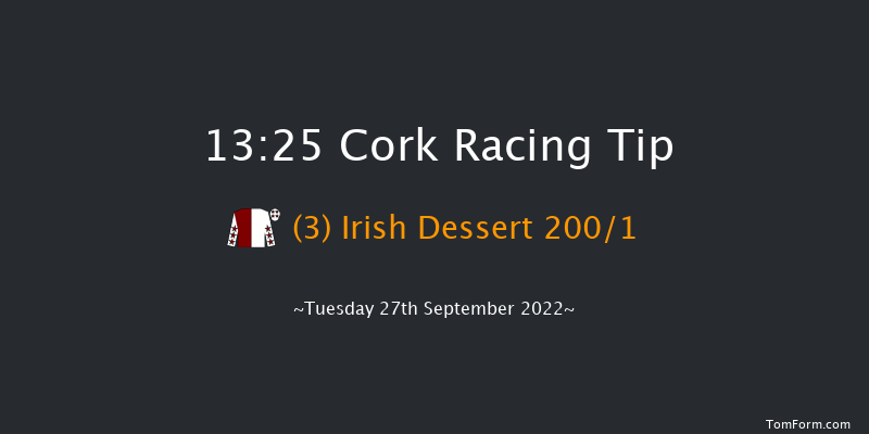 Cork 13:25 Maiden 5f Wed 7th Sep 2022