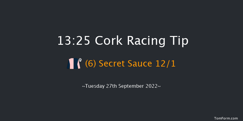 Cork 13:25 Maiden 5f Wed 7th Sep 2022