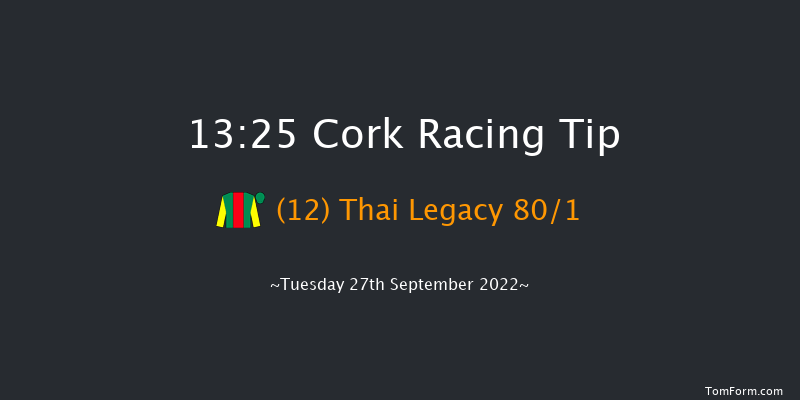 Cork 13:25 Maiden 5f Wed 7th Sep 2022