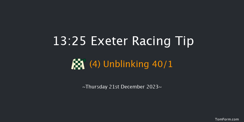 Exeter 13:25 Handicap Hurdle (Class 5) 22f Wed 13th Dec 2023