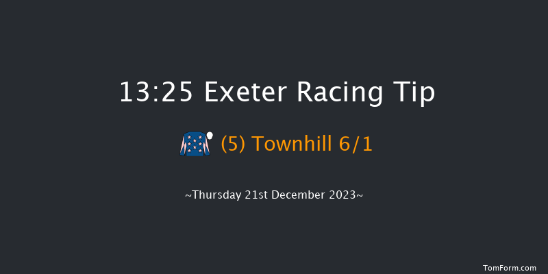 Exeter 13:25 Handicap Hurdle (Class 5) 22f Wed 13th Dec 2023