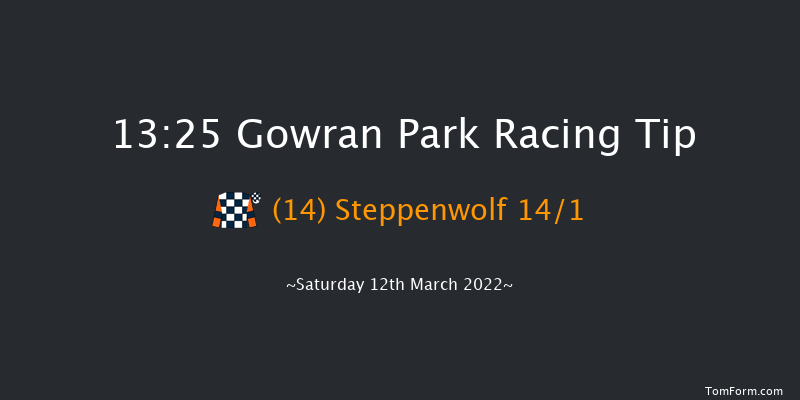 Gowran Park 13:25 Maiden Hurdle 16f Sat 19th Feb 2022