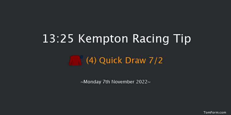 Kempton 13:25 Handicap Chase (Class 4) 20f Wed 2nd Nov 2022