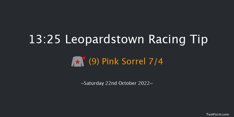 Leopardstown 13:25 Maiden 7f Sat 15th Oct 2022