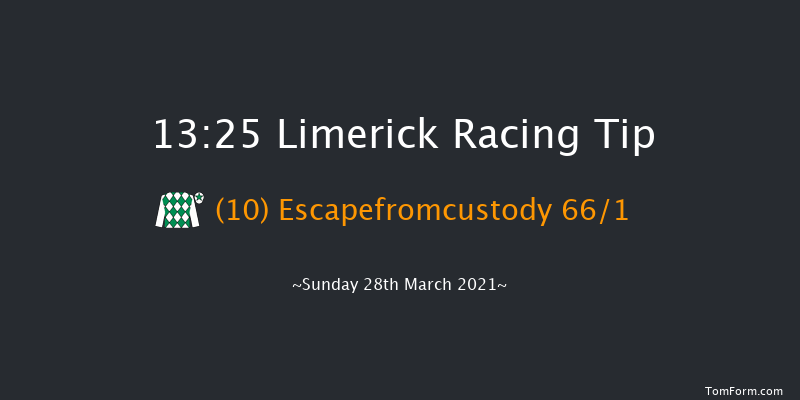 I.N.H. Stallion Owners EBF Maiden Hurdle (Div 1) Limerick 13:25 Maiden Hurdle 19f Sun 14th Mar 2021