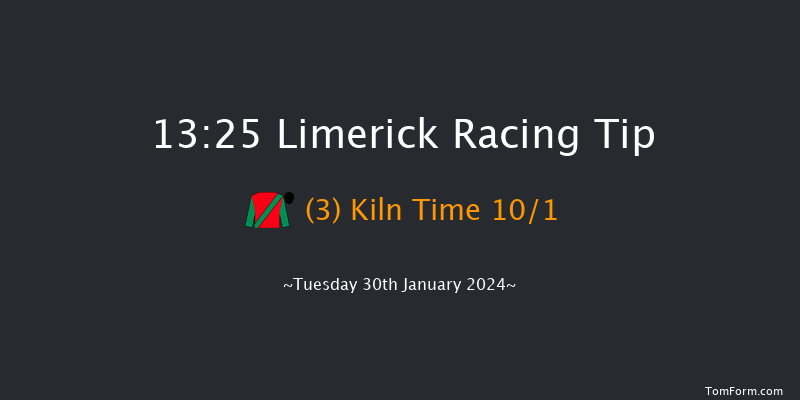 Limerick  13:25 Handicap Hurdle 21f Fri 29th Dec 2023