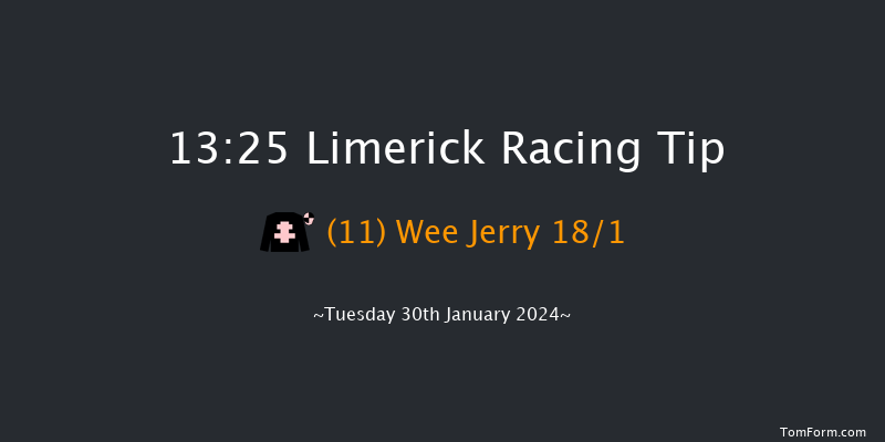 Limerick  13:25 Handicap Hurdle 21f Fri 29th Dec 2023