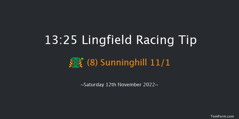 Lingfield 13:25 Stakes (Class 5) 10f Tue 8th Nov 2022