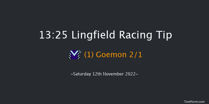 Lingfield 13:25 Stakes (Class 5) 10f Tue 8th Nov 2022