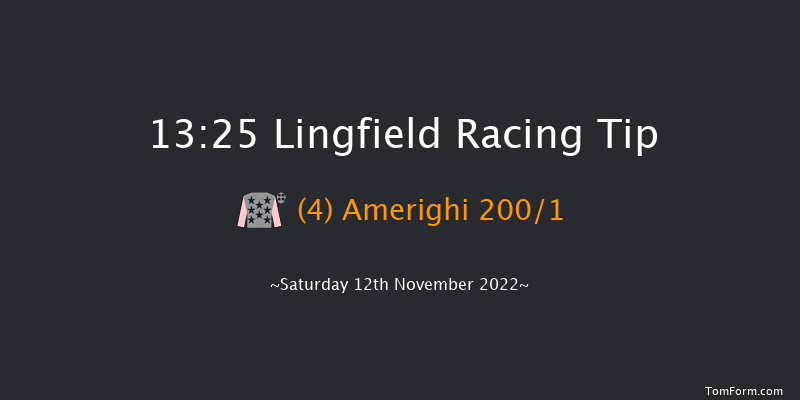 Lingfield 13:25 Stakes (Class 5) 10f Tue 8th Nov 2022