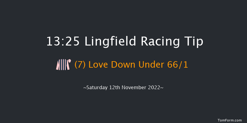 Lingfield 13:25 Stakes (Class 5) 10f Tue 8th Nov 2022