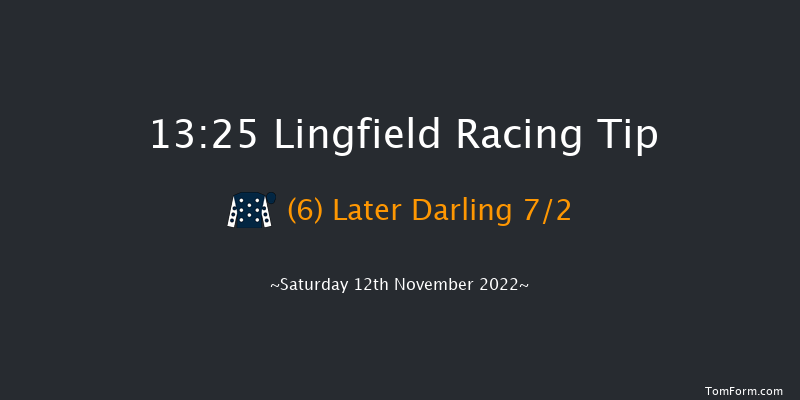 Lingfield 13:25 Stakes (Class 5) 10f Tue 8th Nov 2022