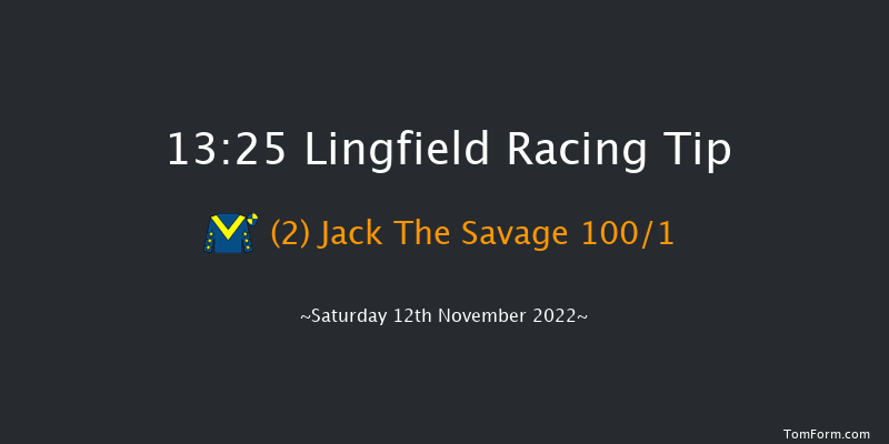 Lingfield 13:25 Stakes (Class 5) 10f Tue 8th Nov 2022