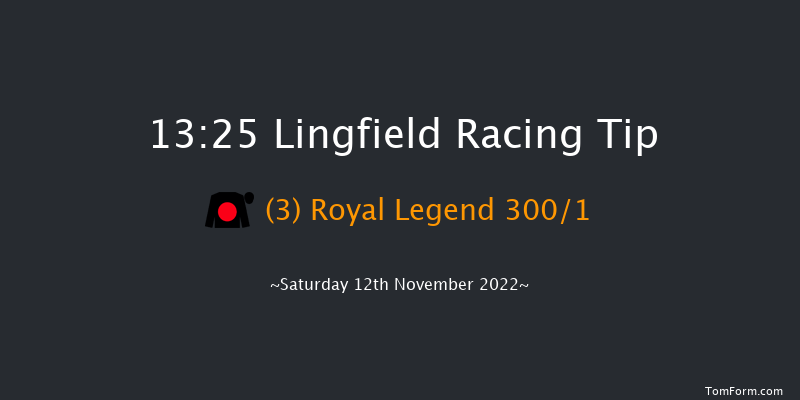 Lingfield 13:25 Stakes (Class 5) 10f Tue 8th Nov 2022