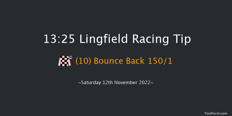 Lingfield 13:25 Stakes (Class 5) 10f Tue 8th Nov 2022