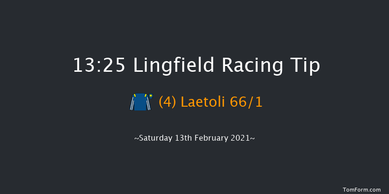 Ladbrokes Watch Racing Online For Free Fillies' Novice Stakes Lingfield 13:25 Stakes (Class 5) 6f Sat 6th Feb 2021