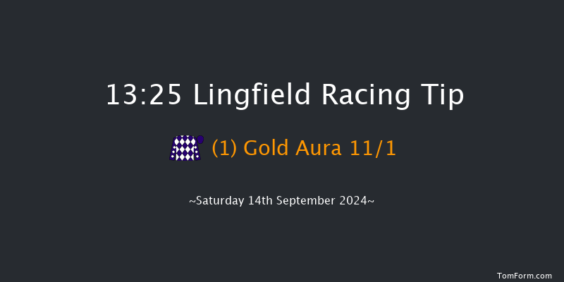 Lingfield  13:25 Stakes (Class 5) 8f Wed 11th Sep 2024