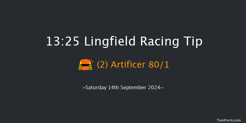 Lingfield  13:25 Stakes (Class 5) 8f Wed 11th Sep 2024