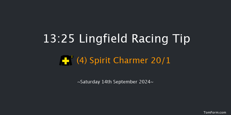 Lingfield  13:25 Stakes (Class 5) 8f Wed 11th Sep 2024