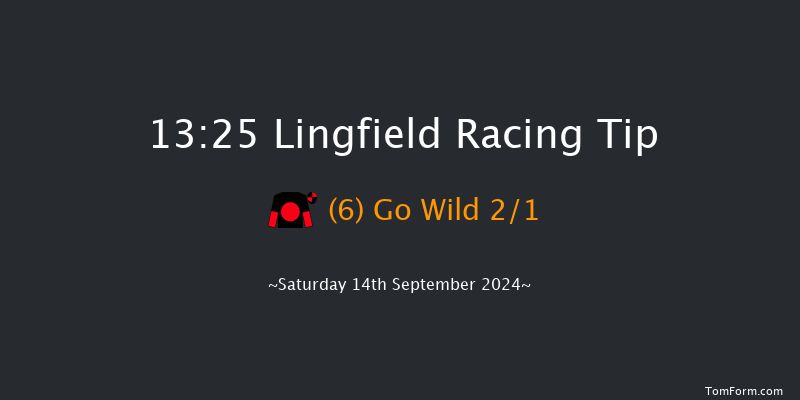 Lingfield  13:25 Stakes (Class 5) 8f Wed 11th Sep 2024