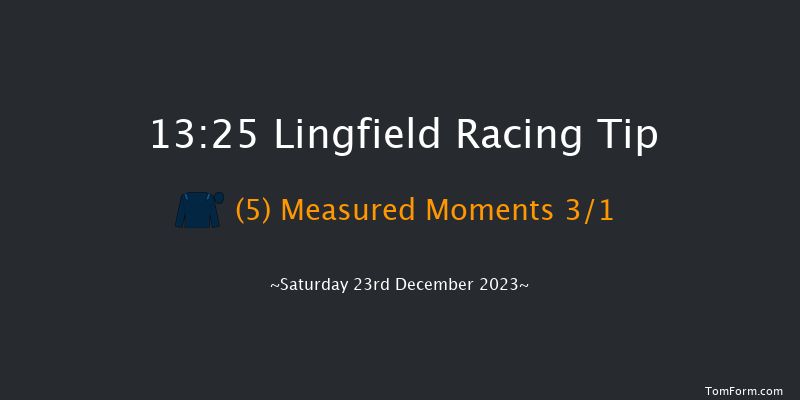 Lingfield 13:25 Handicap (Class 3) 8f Wed 20th Dec 2023